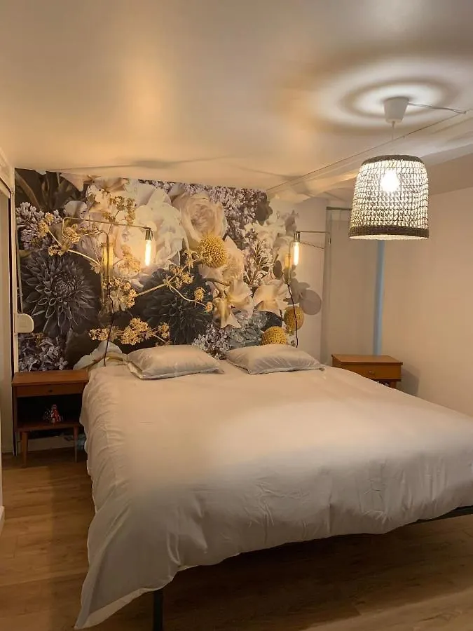 Duplex Vieux Lille Appartement